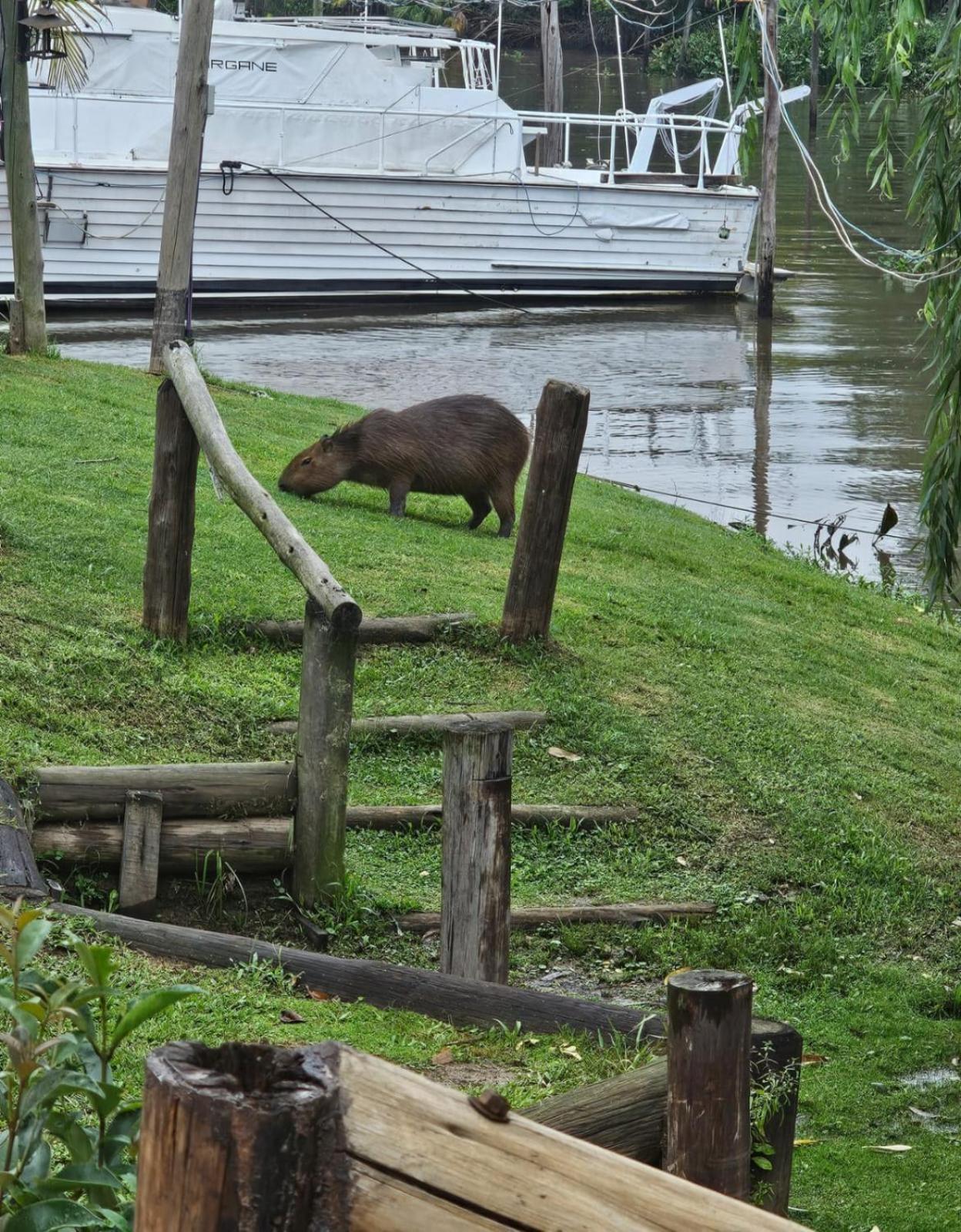 Cabanas Faro Delta Tigre Luaran gambar